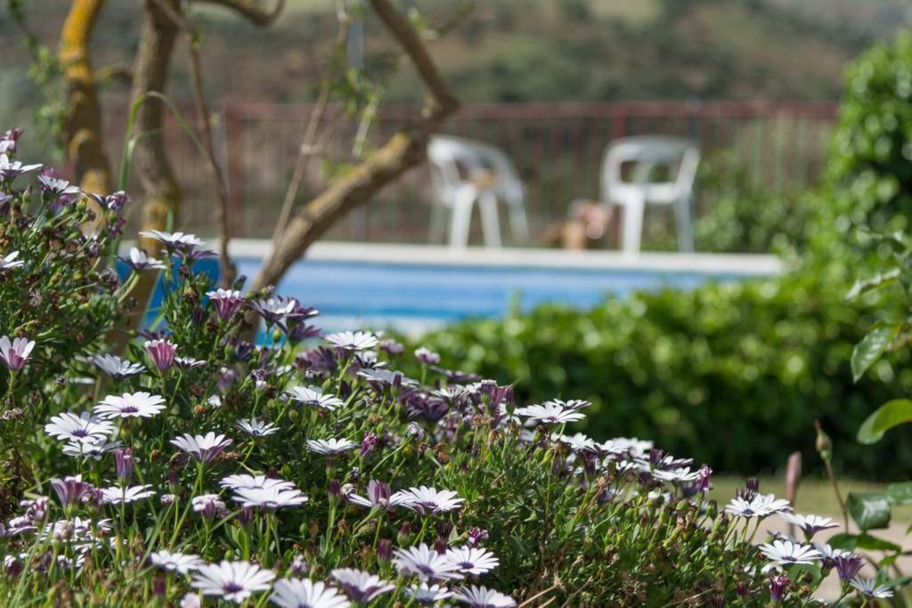Rural El Puerto Mayordomo アルダレス エクステリア 写真